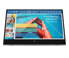 HP E14 G4 USB-C Portable Display