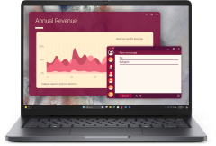 Dell Pro 14 PC14250 14in FHD Notebook
