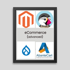 Online Store solution (Advanced)