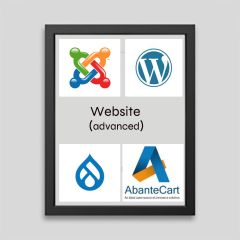 Website Solution (Advanced)